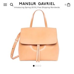 Mansur Gavriel mini lady bag